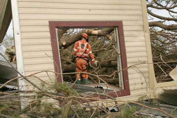 Best Utility Line Clearance  in Albemarle, NC